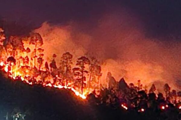 Fire continues to spread in the forests of Uttarakhand