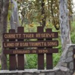 Jim Corbett Park Ramnagar