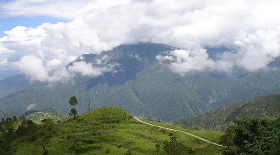 A case of cow slaughter has come to light in Ranikhet area