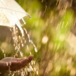 Monsoon may reach India within five days