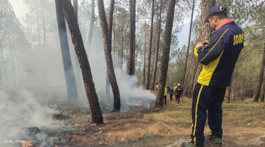 Forest fire is continuously getting out of control in Almora