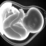 A live fetus has been found in the stomach of a seven-month-old child in Uttarakhand