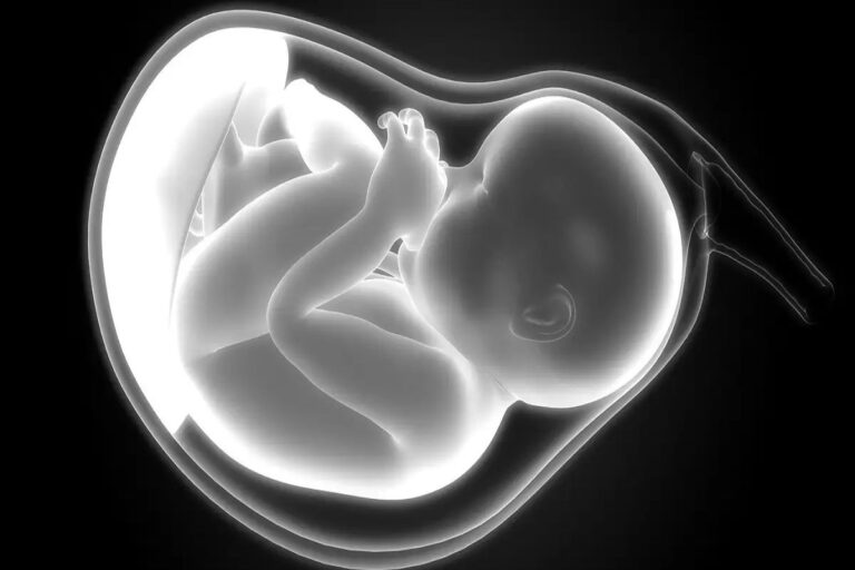 A live fetus has been found in the stomach of a seven-month-old child in Uttarakhand