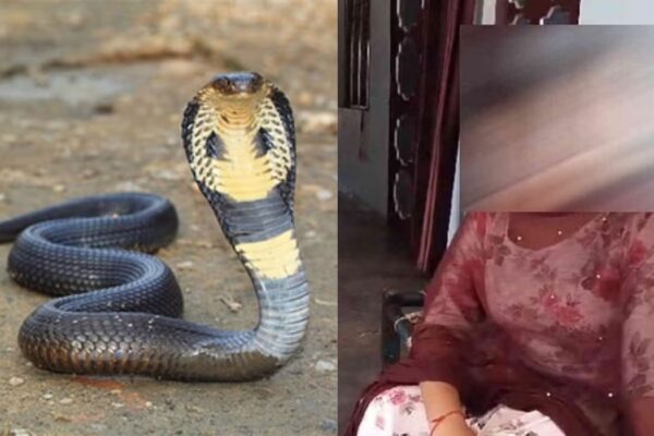 A snake is chasing a girl