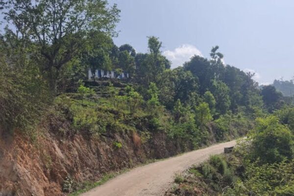 Houses in danger due to landslides:निर्माणाधीन दन्या-आरासलपड़ सड़क पर सुरक्षा दीवार निर्माण नहीं होने से सलपड़ के कपुटांग तोक में भीषण भूस्खलन हो रहा है। इससे लोगों में दहशत का माहौल है। बारिश के वक्त लोग घरों से बाहर निकलने को विवश हो रहे हैं। लोगों ने सड़क सुरक्षा दीवार निर्माण की मांग उठाई है।