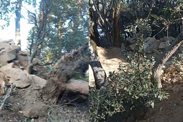 A case of illegal mining has come to light in the reserve forest in Almora district of Uttarakhand