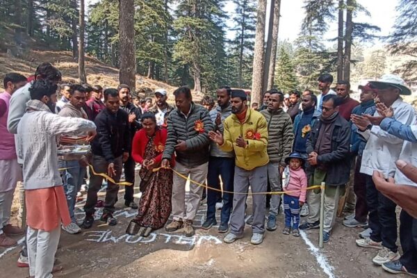 Cricket competition has started in Jageshwar Dham.